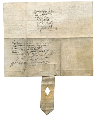 01 verso