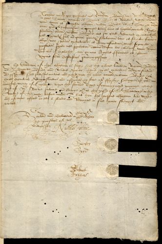 Article 025