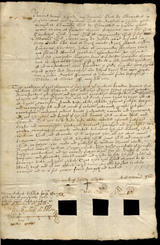 Article 043