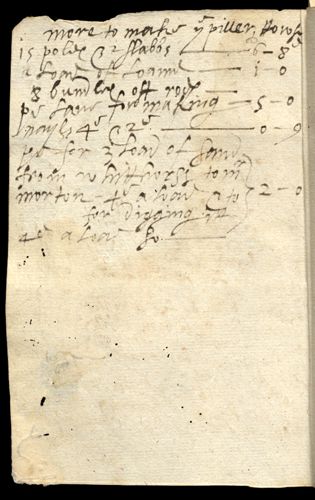 11 verso