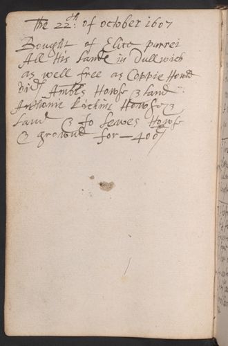 019 verso