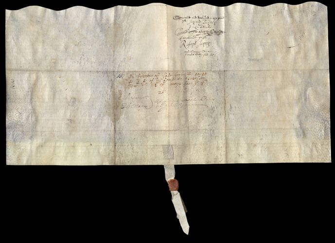 01 verso